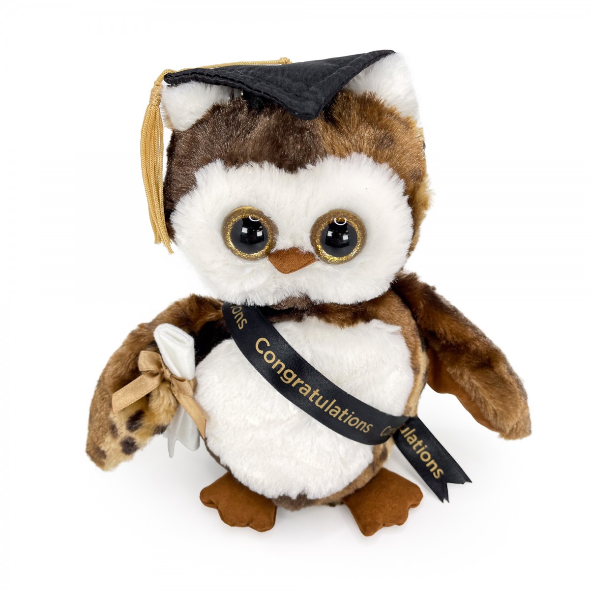 Wisdom Graduation Owl