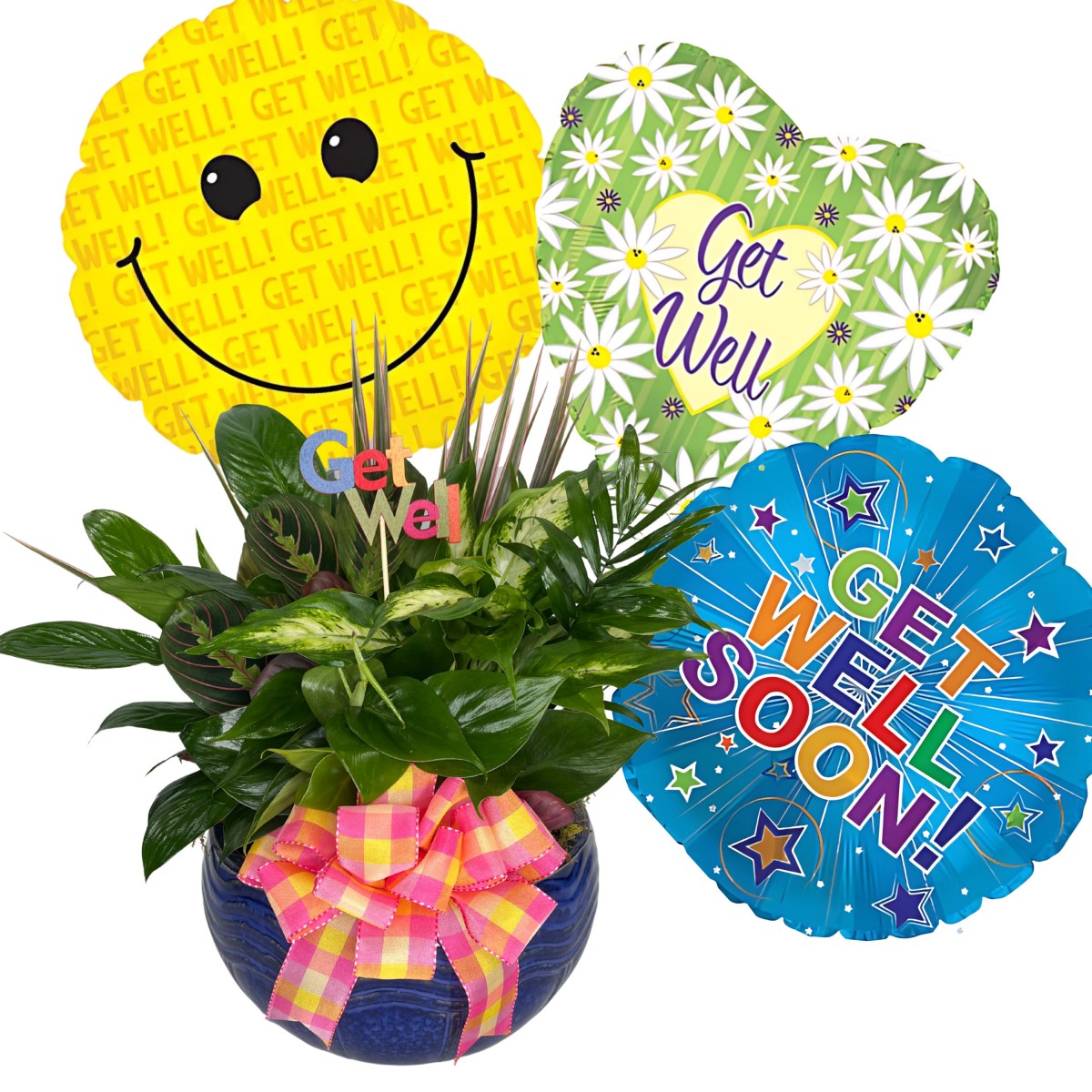 Wellness & Wishes Package