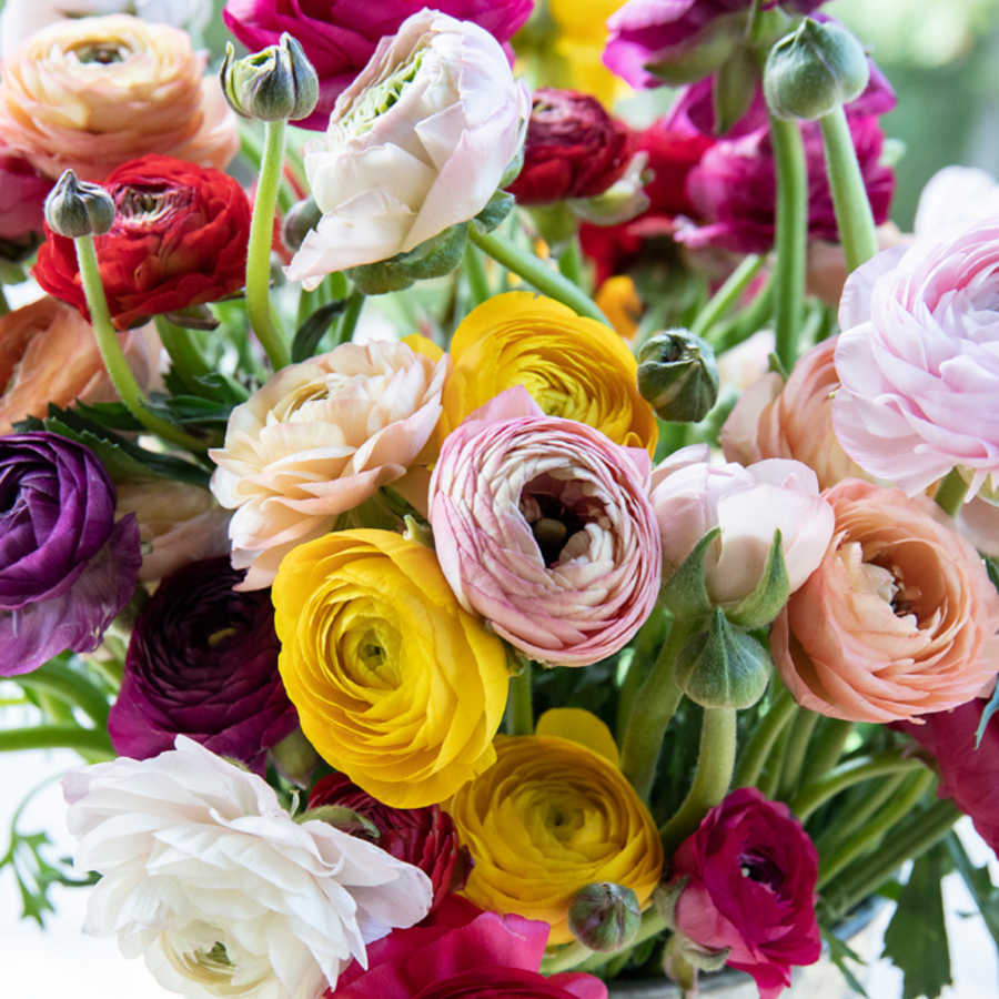 Petals for Me